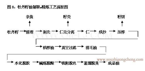 牡丹籽油榨油精炼生产线(图4)